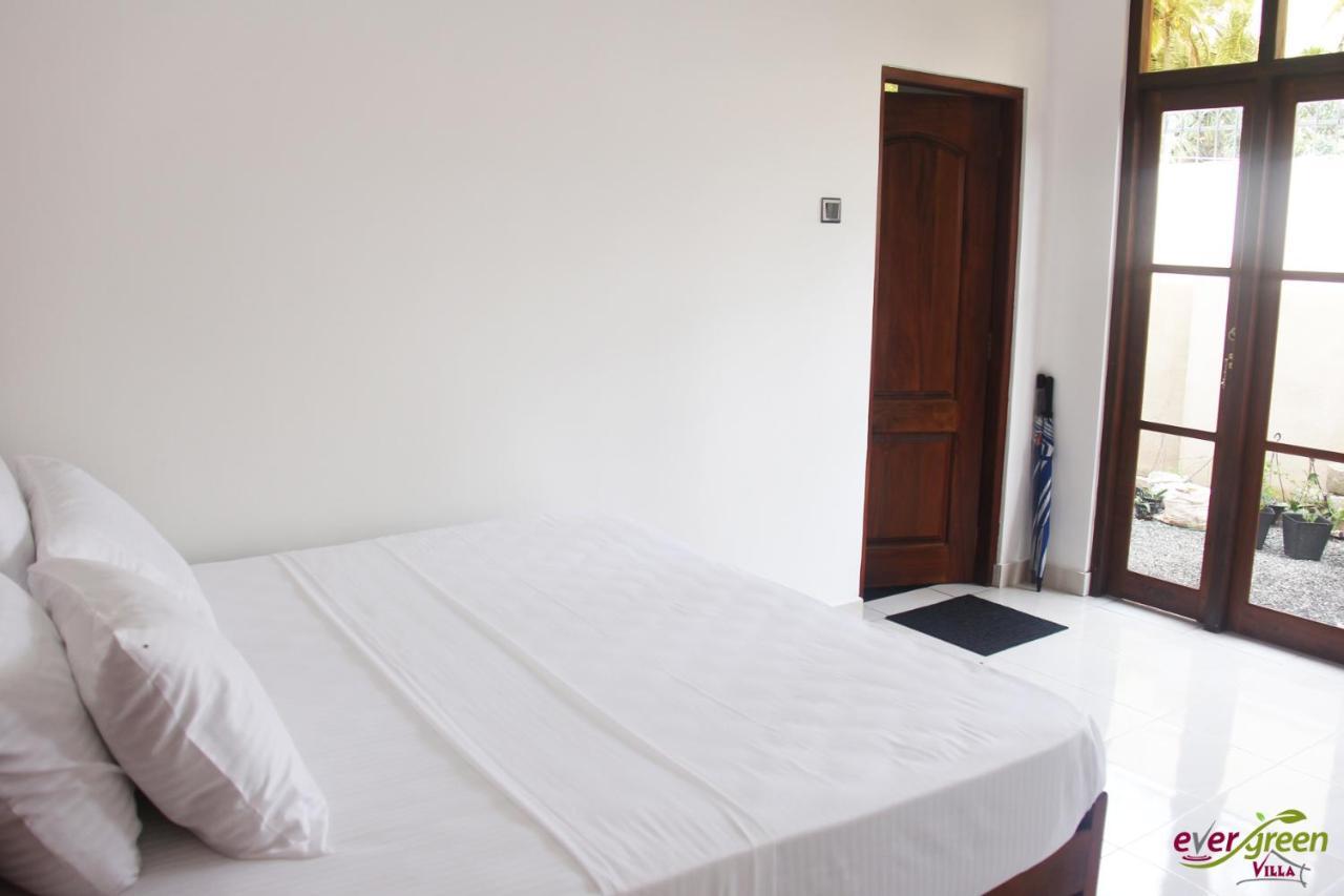 Ever Green Villa Негомбо Экстерьер фото
